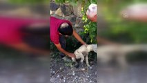 Kafası şişeye sıkışan yavru köpek kurtarıldı - MALATYA