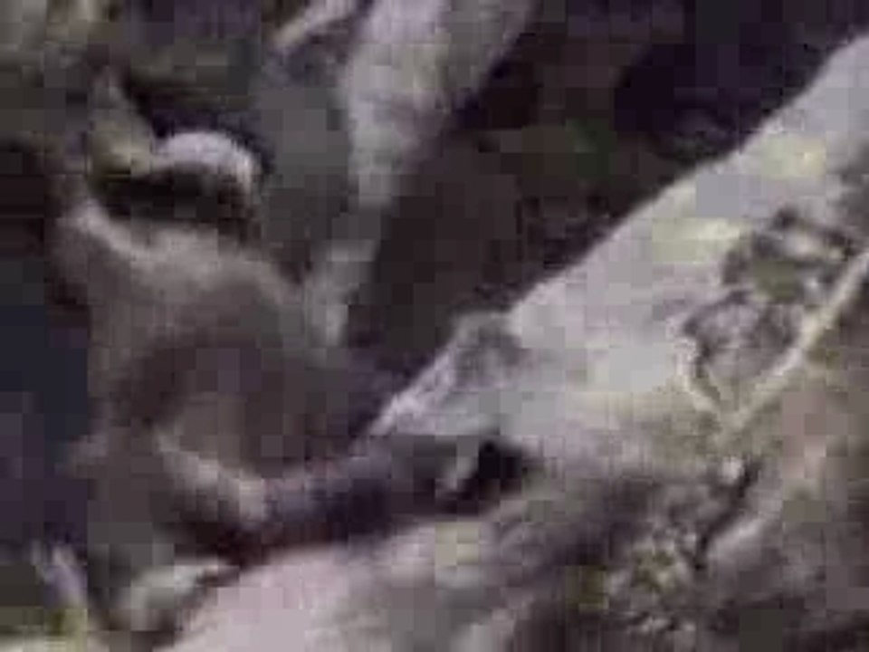 LaHP La Horde Pershitude Hardcore