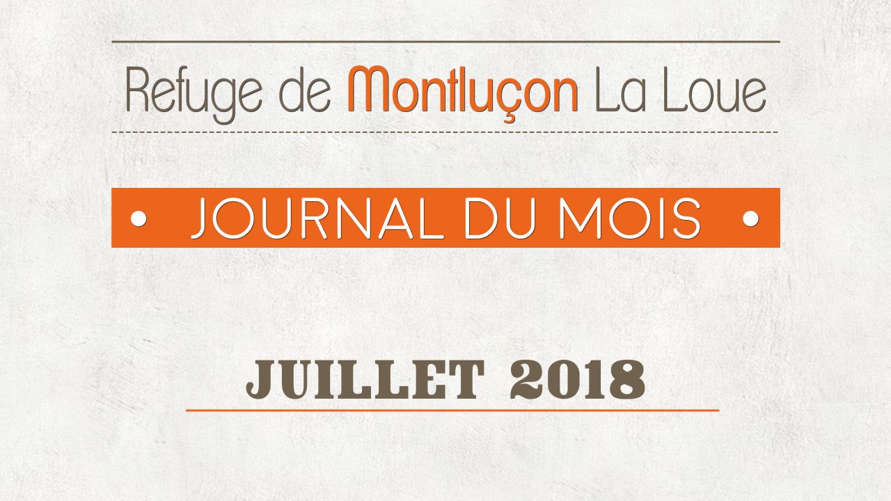 Un mois au refuge : juillet 2018