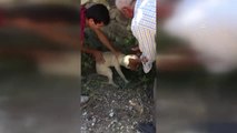 Kafası Şişeye Sıkışan Yavru Köpek Kurtarıldı