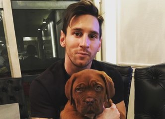 Qui sont Hulk et Toby, les chiens de la famille Messi ? - Foot - WTF