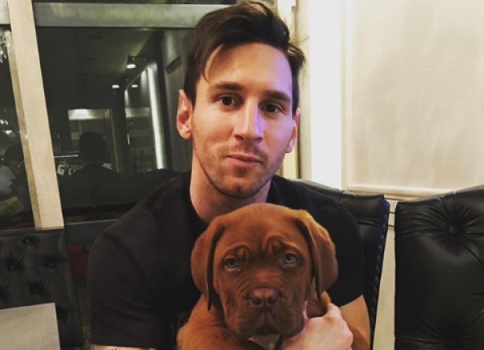 Qui sont Hulk et Toby, les chiens de la famille Messi ? - Foot - WTF