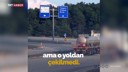 İnatçı eşek kaçtı, zabıta ekipleri kovaladı