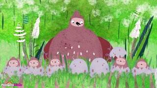 PIKKULI: Come out Pikkuli | Funny Birds Cartoons for Kids | HooplaKidz TV