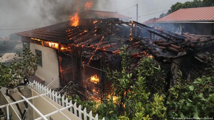 حرائق الصيف تقتل عشرات سكان اليونان وتغرق بعضهم بالبحر