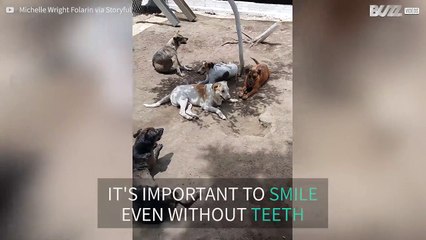 Το ομορφότερο... φαφούτικο χαμόγελο στον κόσμο