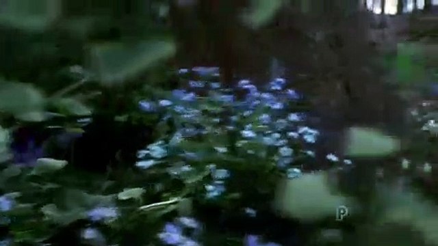 Emmerdale 2nd August 2018 Part 1 Emmerdale 2nd August 2018 Emmerdale August 2, 2018 Emmerdale 2-08-2018 Emmerdale 02-August- 2018 Emmerdale 2nd Aug 18