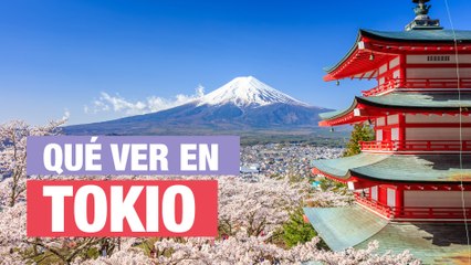 Qué ver en Tokio  | 10 Lugares imprescindibles 