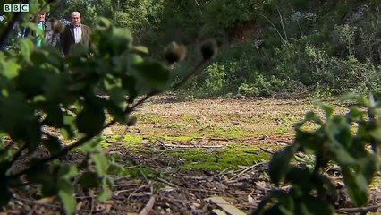 Lebanon's civil war veterans fight for peace - BBC News