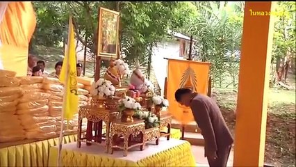 ยลโฉมหม่อมใหม่มาแรง! หม่อมฝ้าย อภิญญา ณ อยุธยา เป็นราชนิกูลด้วยเหมาะเป็นพระราชินีสุดๆ