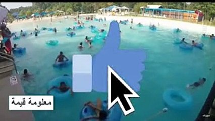 كانو يستمتعون بالاستحمام في حوض السباحةلكن لم يلاحظو الكارثة التي حولهم..!