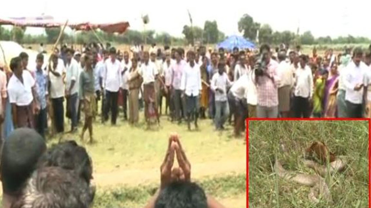 పాము మరణం, ఎస్సైను చుట్టుకున్న వివాదం.