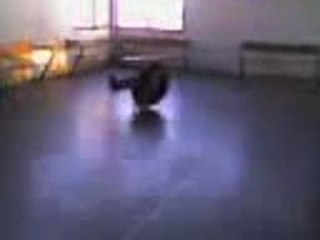 Les freres regis en skate (1)