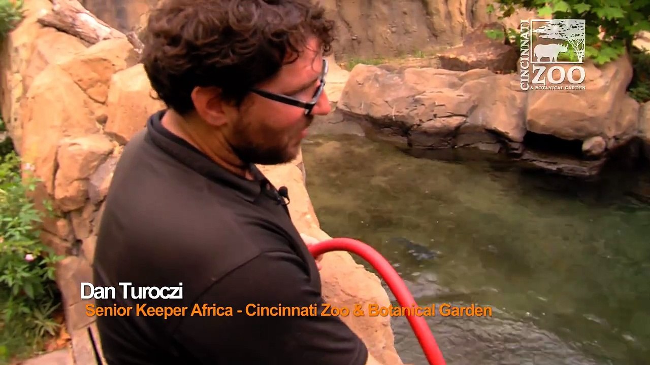 The Fiona Show - Hose play has been one of Fiona