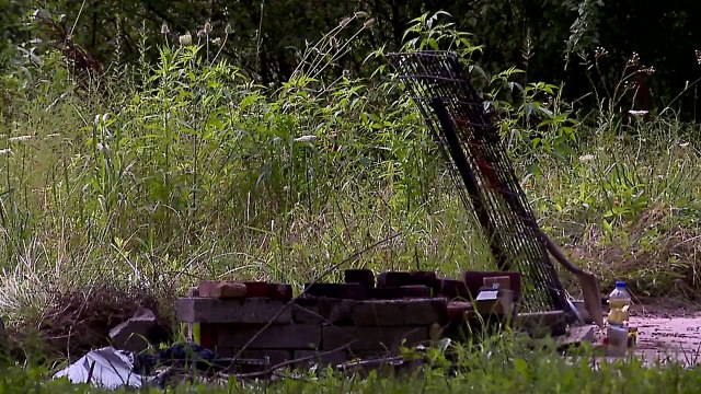 Burned Remains of Dog Found in Backyard Fire Pit