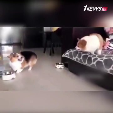 Муж и жена через год после свадьбы