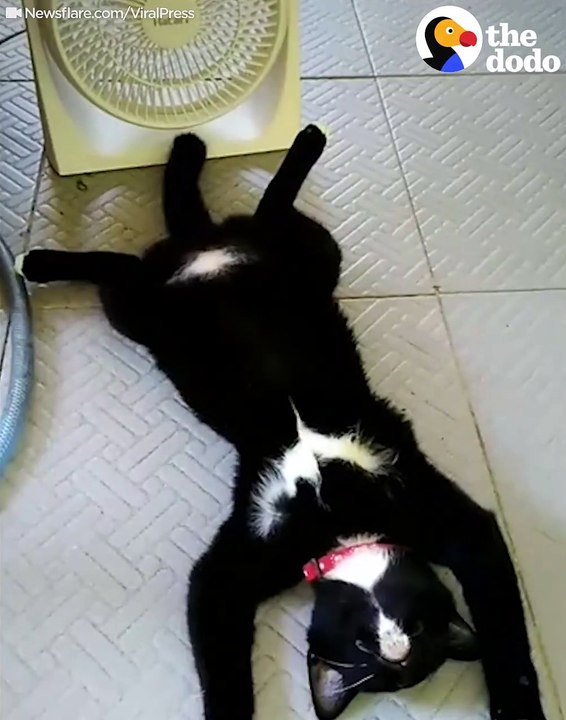 When it’s too hot to move 