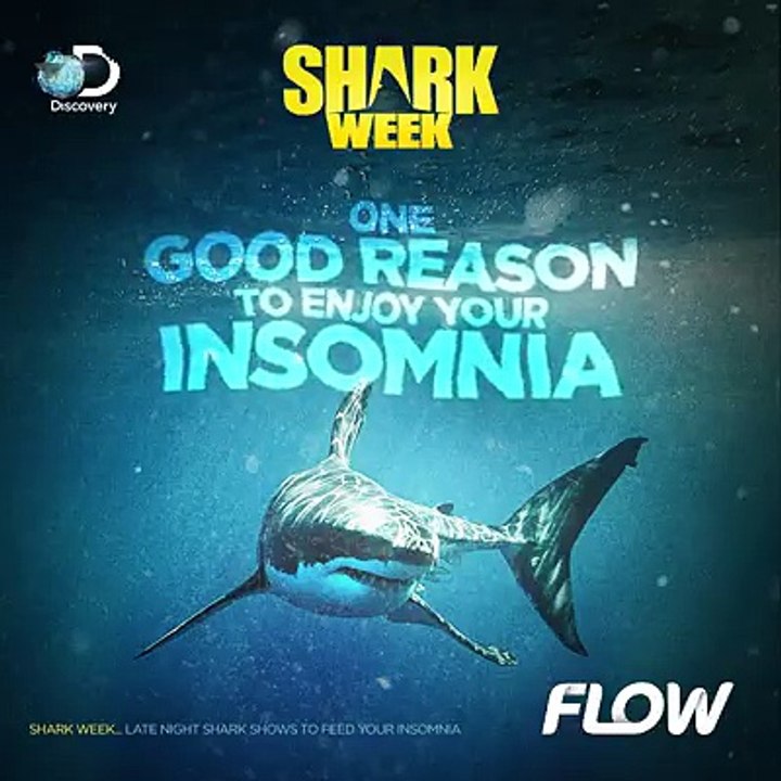 Your favorite week is back!It's still a bad week to be a SEAL!#SharkWeek. July 22-29 on Discovery Channel.