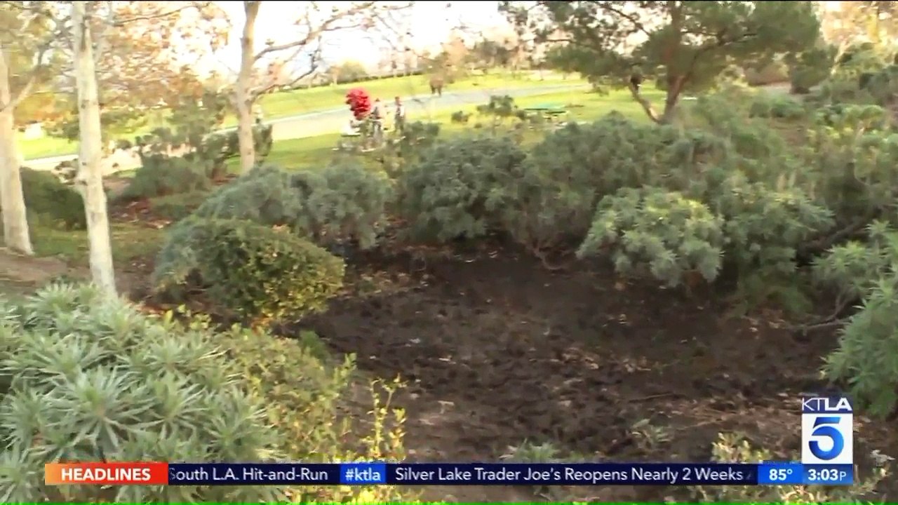 Fatal Stabbing of Blaze Bernstein Was 'Hate Crime Murder': District Attorney