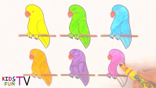 Learn Colors How To Draw Parrot Coloring Pages For Kids Learning
