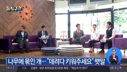 나무에 묶인 개…“데려다 키워주세요” 팻말