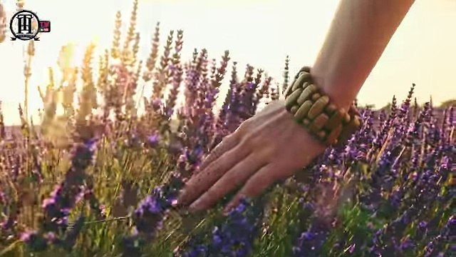 Tamer Hosny - Wala Yom Men Ayamo_ تامر حسني - ولا يوم من ايامه - 2018