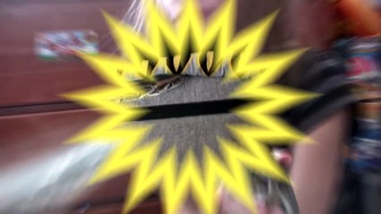 My Daughter & Our BIG FAMILY PET SNAKE 12 Ft. Burmese Python