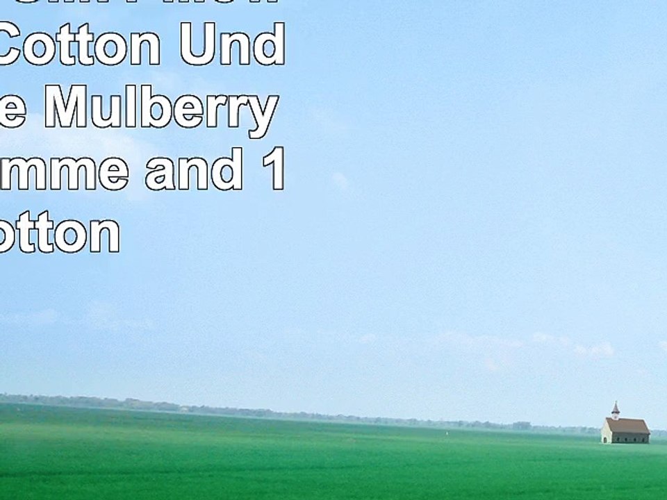 LULUSILK Silk Pillowcase with Cotton Underside Pure Mulberry Silk 16 Momme and 100 Cotton