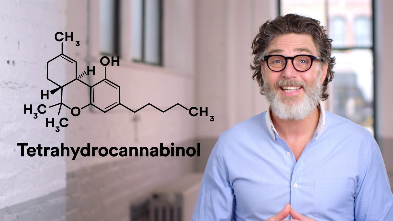 What is THC