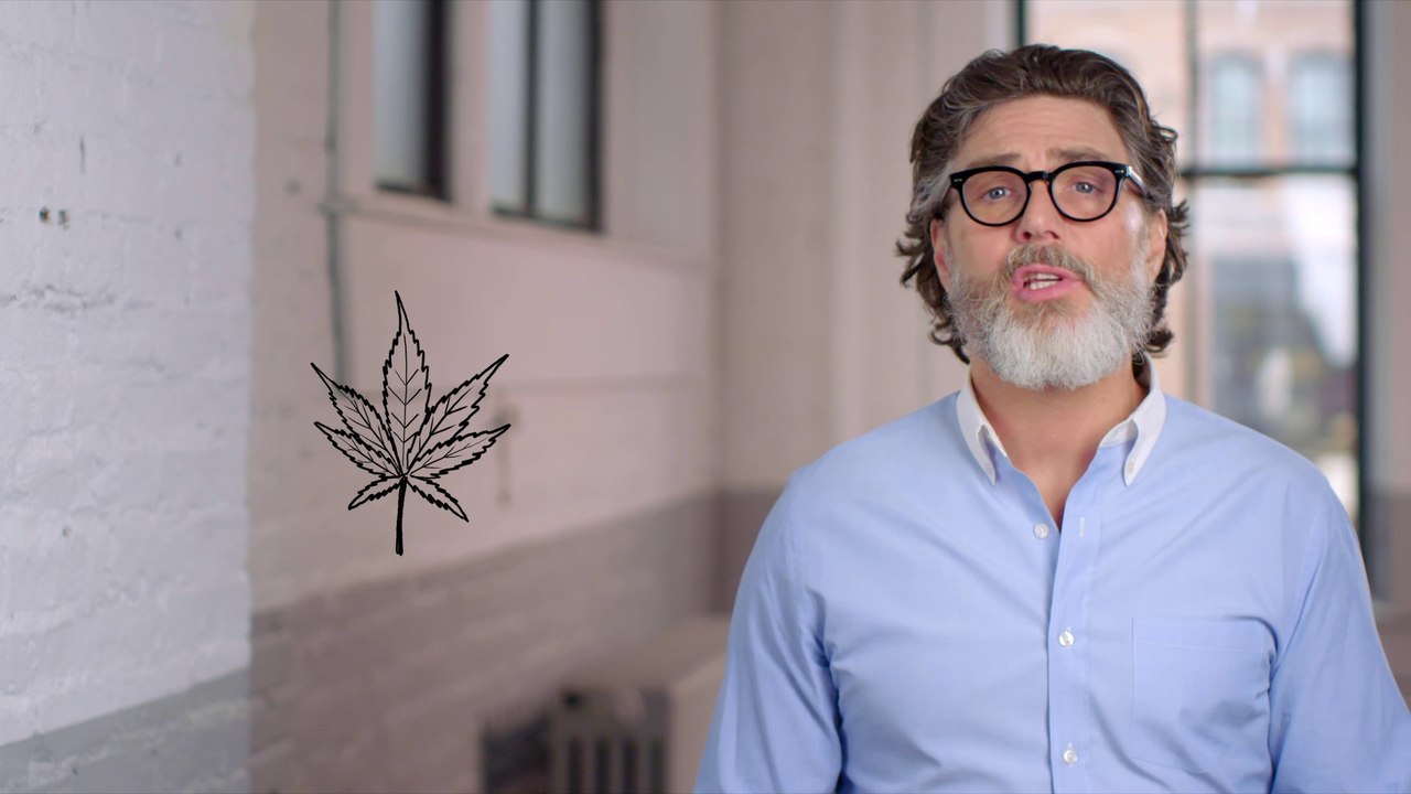 What is an Indica