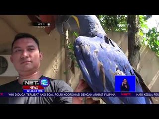 Ini Dia Burung Macaw Yang Ditaksir Mencapai Ratusan Juta Rupiah-NET12