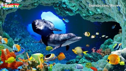 Bí mật "vùng tử thần" dưới đáy đại dương: Nghìn năm không có sinh vật sống, NASA cố lờ đi!