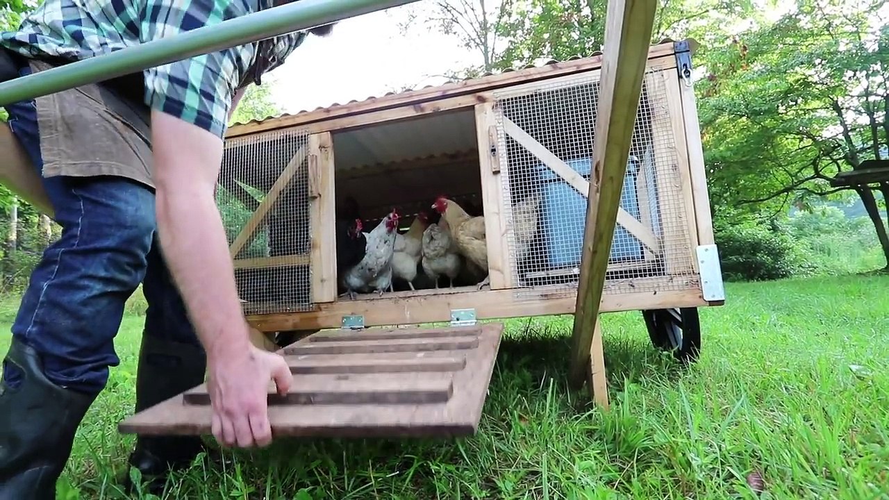 DIY Mobile Chicken Coop PLANS ChickShaw 2.0 by Justin Rhodes