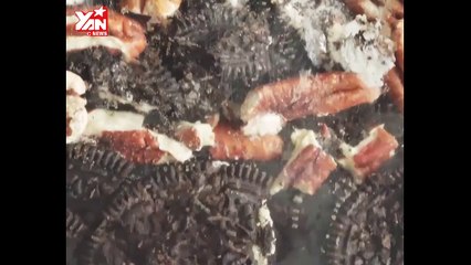Bếp Tây #1: Bánh Kem Cheese Ngựa Vằn Béo Ngậy