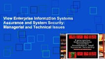 View Enterprise Information Systems Assurance and System Security: Managerial and Technical Issues