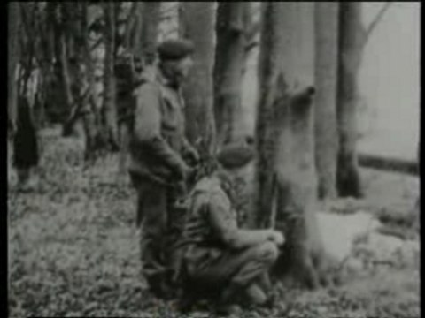 LSD teste sur les soldats anglais