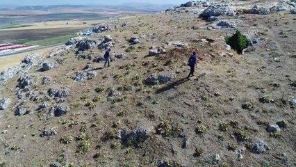 Gaziantep'te 9 yaşındaki Suriyeli çocuğun kaybolması - Çalışmalar havadan görüntülendi