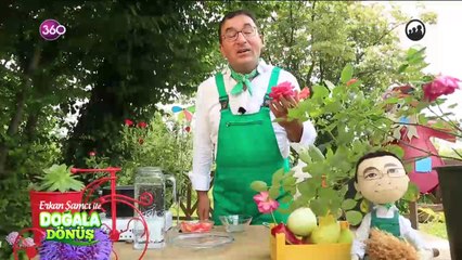 Evde gül suyu yapımı 1