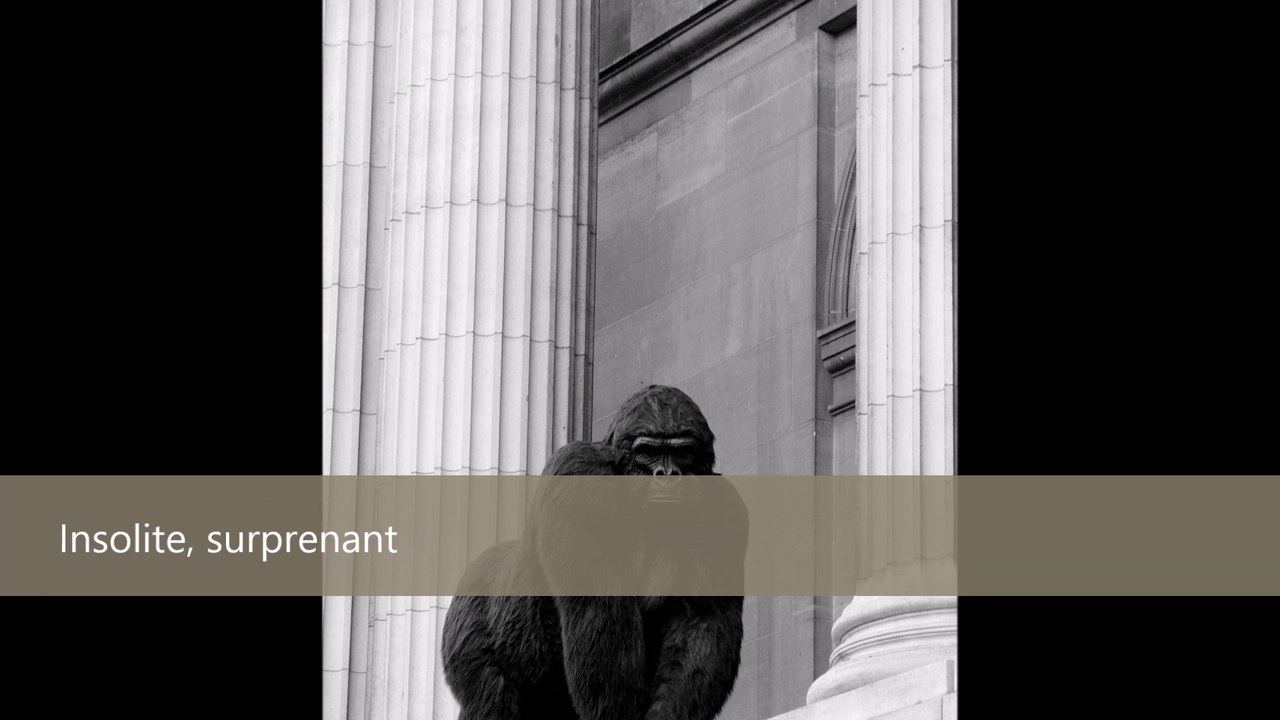 Paris insolite, surprenant, étonnant