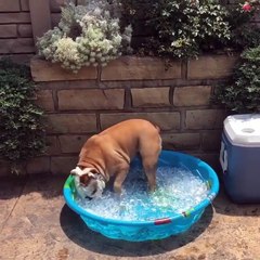 Thật ra chẳng thích thú gì đâu