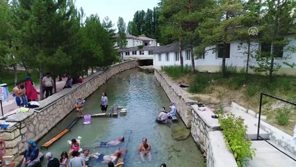 'Doktor balıklar'da son 5 yılın en yoğun mesaisi - SİVAS