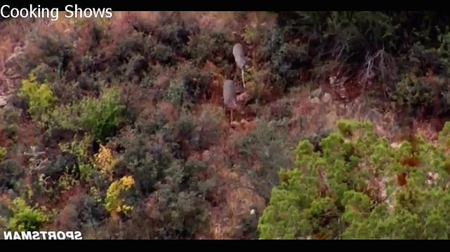 MeatEater - S01E03 - Stalking the Gray Ghost(Arizona Coues Whitetail Deer)