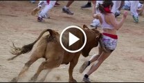 Spain Rampage Raging bull charges into crowd injuring bullfight