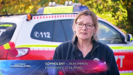 Bienen-Angriff: Unerfahrener Kletterer erleidet Schock an der Felswand | Die Spezialisten | SAT.1 TV