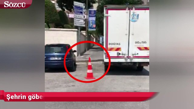 Şehrin göbeğinde tilki kovalamacası