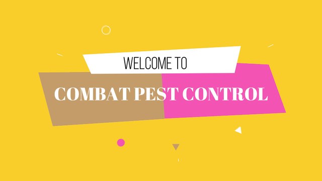 Commercial Pest Control in Winnipeg - Combat Pest Control Services