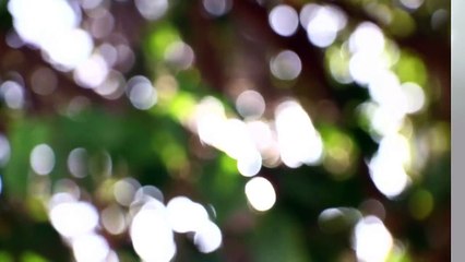 The most valuable gift that you can give to your parents