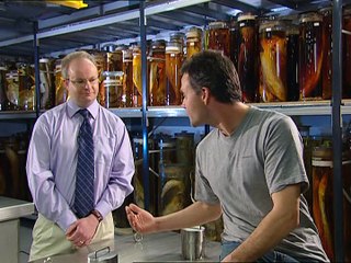 record breaking fish common carp chub & rainbow trout part.1 (2004)