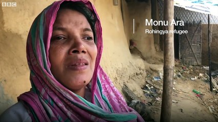 Why are elephants smashing a refugee camp - BBC News