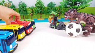 꼬마버스타요 공 뺏기놀이 꼬마공룡 엄마공룡 로보카폴리 구조작전 장난감 동영상